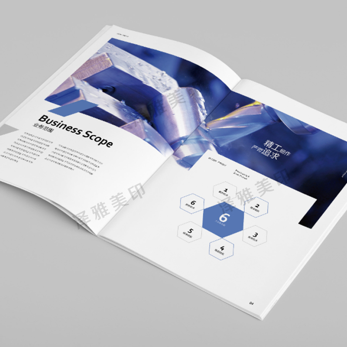企業(yè)高檔畫(huà)冊(cè)印刷 企業(yè)高檔畫(huà)冊(cè)印刷